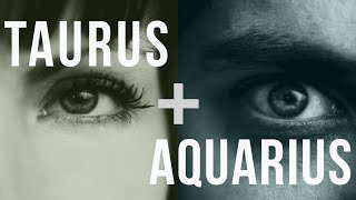 Taurus amp Aquarius Love Compatibility [upl. by Raynah]