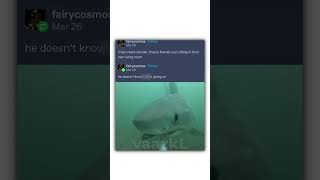 Do You Like Shark Memes [upl. by Trask353]