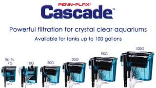 How To Set Up a PennPlax Cascade Hang On Filter [upl. by Nitsug]