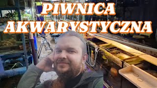 Piwnica akwarystyczna Łódź Damian Lewiński [upl. by Revlys]