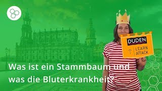 Stammbaum Was ist das und was ist die Bluterkrankheit – Biologie  Duden Learnattack [upl. by Teodorico]