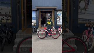 SE BIG RIPPER 29inch  METALLIC RED sebikes bmx cruiserbikes [upl. by Ahsinaw387]