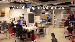 Mikrobiologian laboratorion esittely [upl. by Anirbas878]