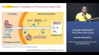 MCAT® Citric Acid Cycle Part 1  Acetyl CoA formation [upl. by Mirielle]