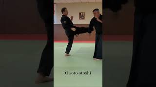 Shorts  Mushin ryu  Ju jitsu O soto otoshi sur Mae geri [upl. by Sholley]