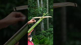 toys archery fishing hunting bambooart diy slingshots bamboo bambooprojects bamboolovers [upl. by Geordie]