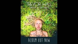 Trevor Hall  O Haleakala With Lyrics [upl. by Isnam]