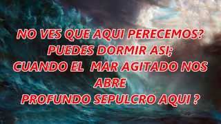 Sea la paz Himno con letra [upl. by Okoy]