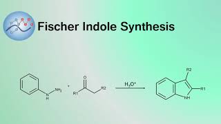 Fischer Indole Synthesis Mechanism  Organic Chemistry [upl. by Druce]