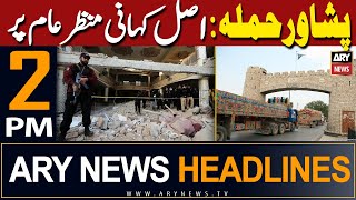 ARY News 2 PM Headlines 10th March 2024  𝐏𝐞𝐬𝐡𝐚𝐰𝐚𝐫 ‘𝐬𝐮𝐢𝐜𝐢𝐝𝐞’ 𝐛𝐥𝐚𝐬𝐭 [upl. by Oijres394]