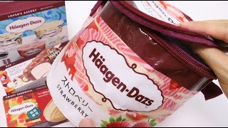 HaagenDazs Ice Cream Summer Lucky Bag HaagenDazs ice cream shaped Cooler Bag is So Good [upl. by Zetrac844]