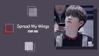 1시간 1 HOUR LOOP Stray Kids  Spread My Wings OT8 Ver [upl. by Ettennaj258]