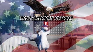 A Game about a American squirrel [upl. by Eralcyram]