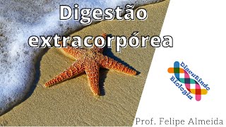 Digestão extracorpórea das ESTRELAS DO MAR  Prof Felipe [upl. by Aisercal]