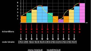 Analogique et numérique [upl. by Pestana]