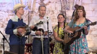 The FOGHORN STRINGBAND quotGo Homequot Westport Folk amp Bluegrass Festival 2016 [upl. by Anadal]