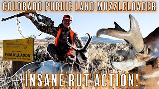 Muzzleloader Antelope Hunting 2022  Public Land Pronghorn in Colorado [upl. by Nahseez]