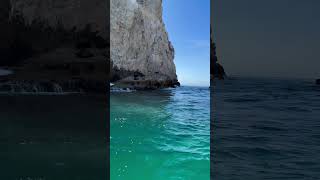 Sea Lions In Los Cabos Mexico [upl. by Timus]