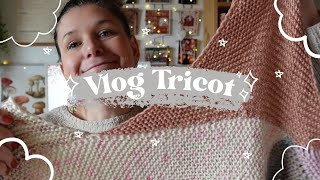 Des test knits des châles des couvertures  Vlog Tricot 95 [upl. by Alyehc105]