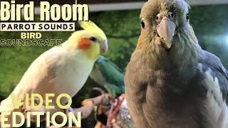 Bird Room Buddies  Happy Parrot Sounds  HD Parrot TV VIDEO EDITION  3 Hours  Bird Room TV [upl. by Spiros]