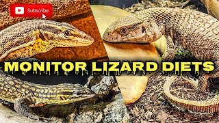 Insectivore Diets for Monitor Lizards [upl. by Akelahs]