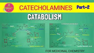 CATABOLISM  CATECHOLAMINES  METABOLISM  Medicinal Chemistry1 Part2 ConclusionPoint [upl. by Korie]