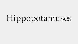 How to Pronounce Hippopotamuses [upl. by Nalo118]