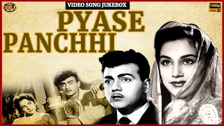 Ameeta Mehmood  Pyase Panchhi 1961 Movie Video Songs Jukebox  HD Hindi Old Bollywood Songs [upl. by Kevin993]