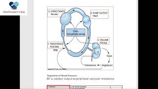 AntiHypertensive Drugs [upl. by Oir]