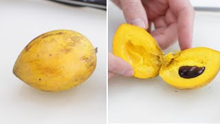 How to Eat Egg Fruit Canistel or Yellow Sapote  Taste Test [upl. by Brandon343]