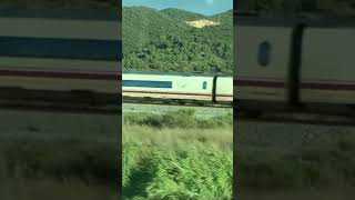 Passing a Renfe AVE [upl. by Auhs885]