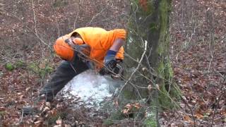 Ausbildung bei der Stadt Tuttlingen Forstwirtin [upl. by Astrid]