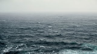 An Interislander ferry has run aground in New Zealand [upl. by Kerrin910]