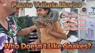 Puerto Vallarta Mexico  Snake Handling Experience [upl. by Corson389]