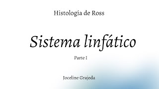 Sistema linfático  Parte I  Histología de Ross [upl. by Sully]