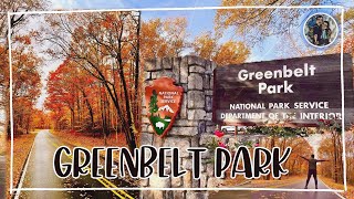 Travel Maryland Greenbelt Park  Camping and Picnic  Fall 2021 [upl. by Duj]