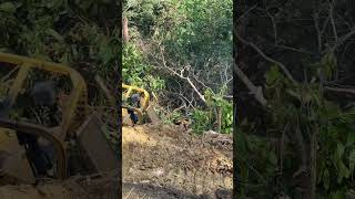 Efficient Construction of Palm Terraces on Slope Terrain Using D6R XL Bulldozers [upl. by Lustick647]