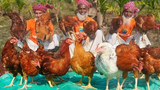 Tiger Chicken Biriyani  Giant Size Country Chicken Cooking  Morog Pulao Recipe of Grandpa [upl. by Nike]