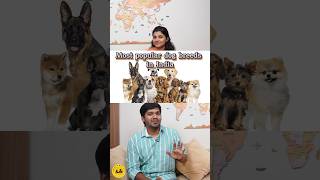 Most popular dog breeds in India 🐶🐾 BWT Biscuitswithtea tamil shorts dog pet germanshepherd [upl. by Iliak]