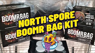 North Spore Boomr Bag Monotub Mushroom Grow Kit Product Review  Boomr Kit EP1 [upl. by Schuh]