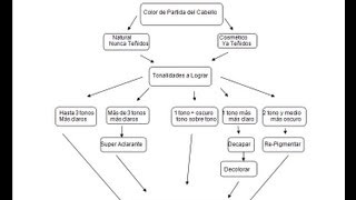 Color Hairstyle Tutorial  Diagnostico Colorimetria Como Lograr el Resultado [upl. by Nauqit]