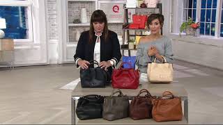 Dooney amp Bourke Florentine Small Brenna Satchel Handbag on QVC [upl. by Lewis]