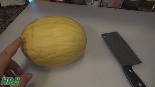 ⟹ Canary Melon  Cucumis melo L  Fruit Review [upl. by Nawek]