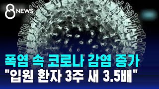 폭염 속 코로나 감염자 증가…quot입원 환자 3주 새 35배quot  SBS 8뉴스 [upl. by Bear]