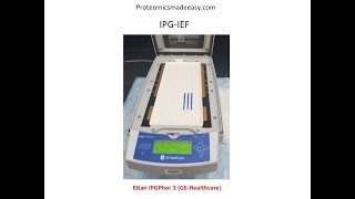 2D Gel Electrophoresis [upl. by Lathan]