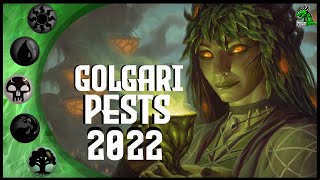 GOLGARI PESTS Standard 2022 DampD AFR  MTG Arena  Magic Arena  MTGA [upl. by Justen]