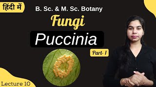 Fungi  Puccinia Part1  in Hindi  Botany  B Sc amp M Sc [upl. by Rosette]