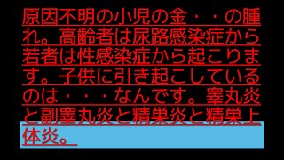 原因不明の小児の金・・の腫れ。高齢者は尿路感染症から若者は性感染症から起こります。子供に引き起こしているのは・・・なんです。睾丸炎と副睾丸炎と精巣炎と精巣上体炎。精巣上体炎 副睾丸炎 [upl. by Houser782]