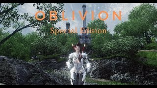 2019 Oblivion EXTREME Graphics  Monkey ENB  1440p [upl. by Alimak815]