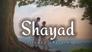 shayad kabhi na keh saku main tumko Slowed Reverd   Arjit sing [upl. by Puduns703]